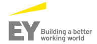 Ernst & Young Consulting